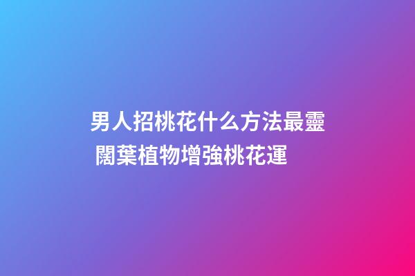男人招桃花什么方法最靈 闊葉植物增強桃花運